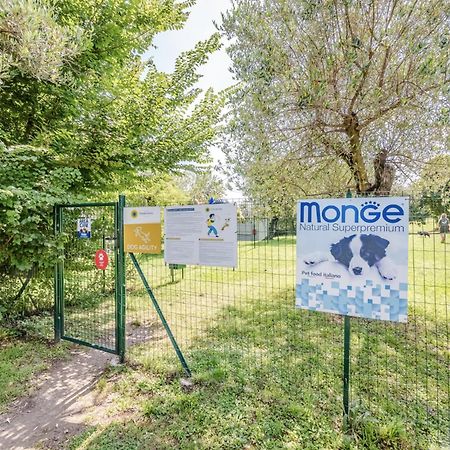 Hotiday Apartment Collection - Desenzano デセンツァーノ・デル・ガルダ エクステリア 写真